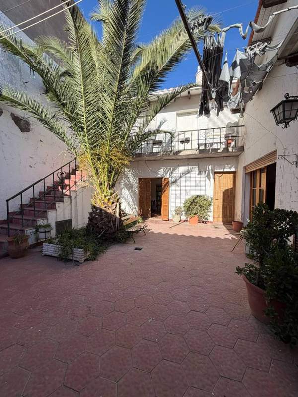 Patio central con palmera