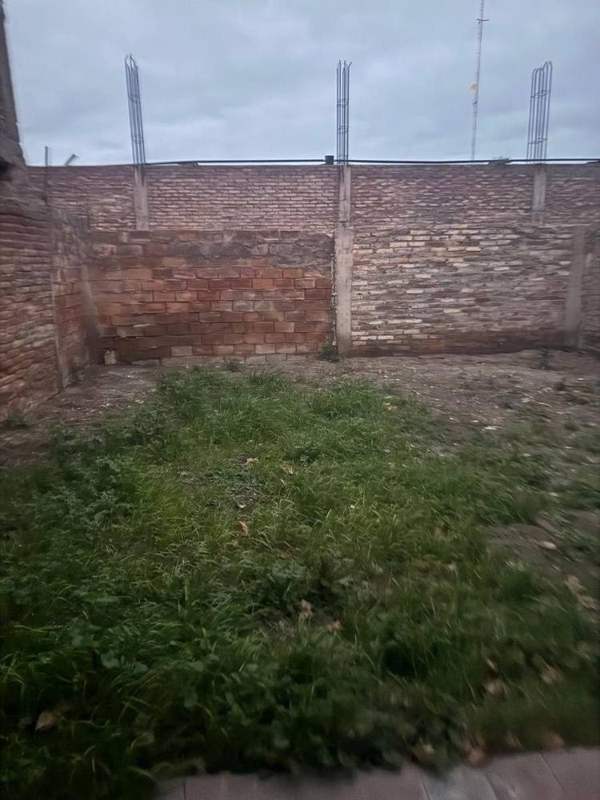 Patio trasero con hierros de espera
